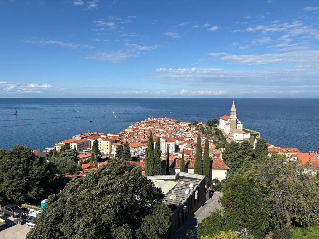 WhatsApp Image 2025 10 01 at 20.21.11 | VOŠ a SPŠ, Rychnov nad Kněžnou